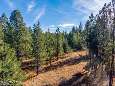 Property 26-10622 - Photo 6