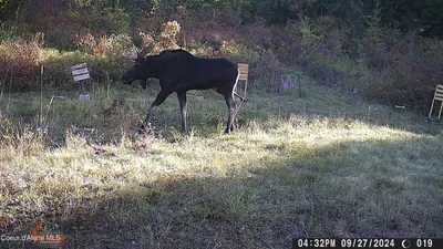 Property 26-8319 - Photo 53