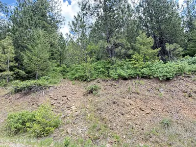 Property 26-5313 - Photo 9