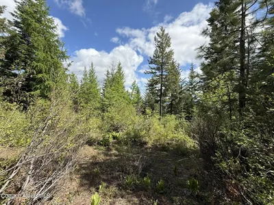 Property 26-457 - Photo 22