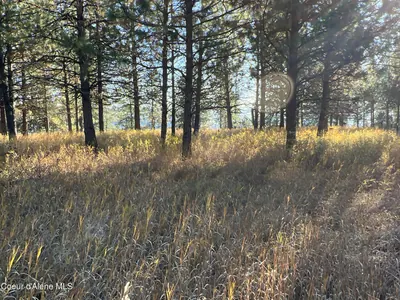 Property 25-10591 - Photo 12