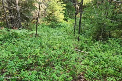 Property 26-3427 - Photo 1