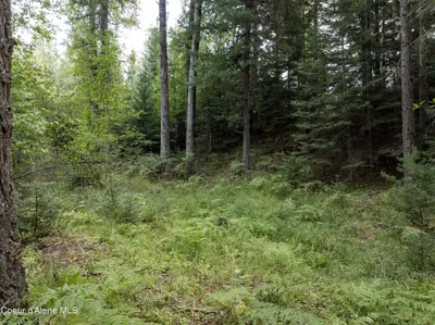 Property 25-8859 - Photo 7