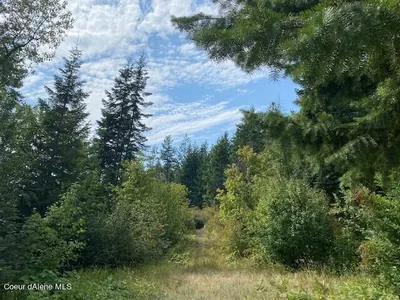 Property 24-11028 - Photo 18