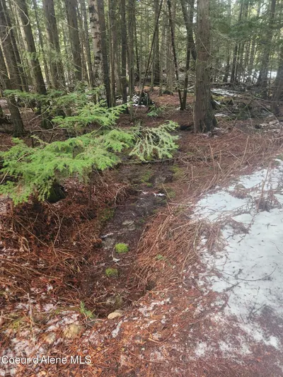 Property 25-10972 - Photo 4