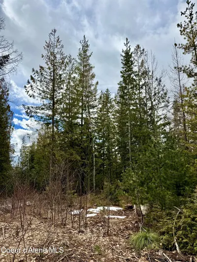 Property 26-2440 - Photo 24