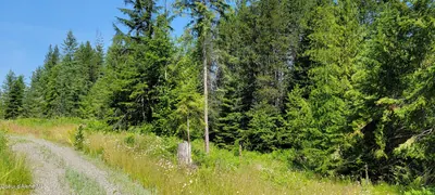 Property 26-4583 - Photo 5