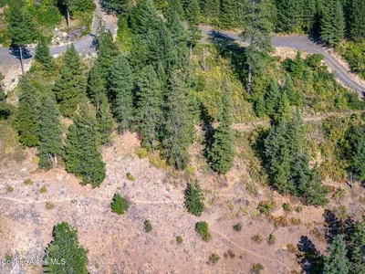 Property 25-7334 - Photo 5