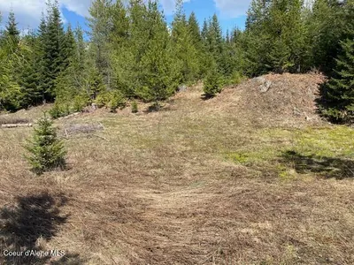 Property 25-4559 - Photo 9