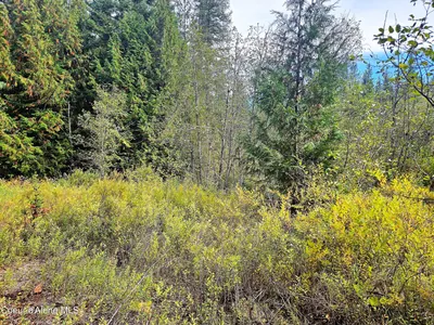 Property 26-9775 - Photo 13