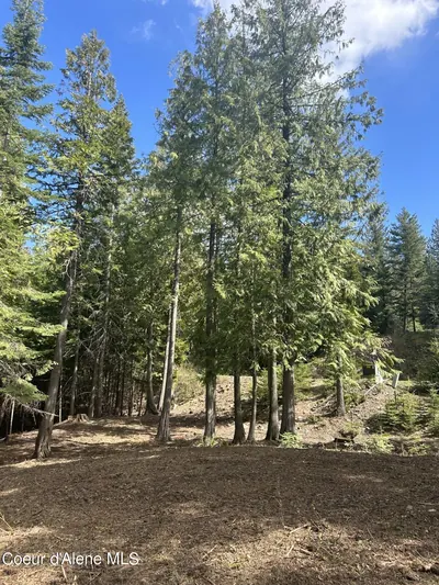 Property 26-3421 - Photo 3