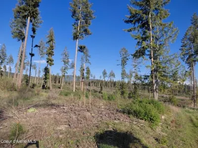 Property 26-7313 - Photo 5