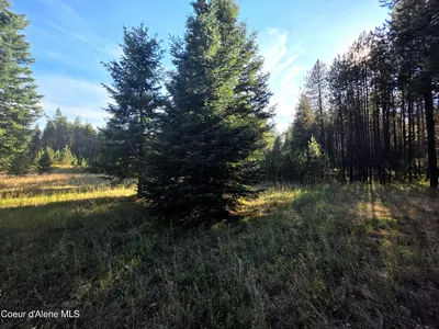 Property 26-9155 - Photo 31