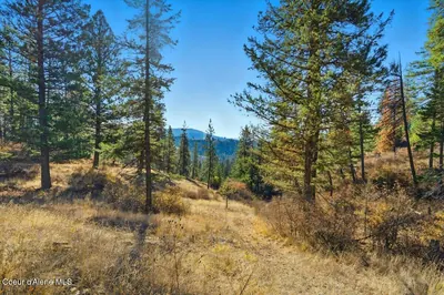 Property 25-10473 - Photo 66