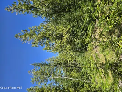 Property 25-8668 - Photo 11