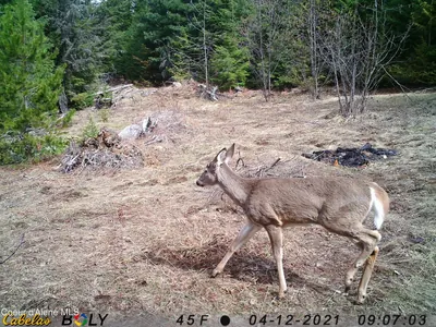 Property 26-3764 - Photo 21