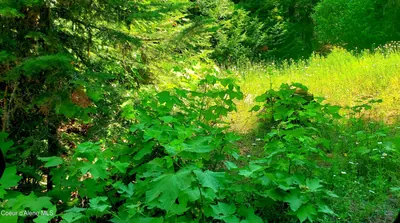 Property 26-1504 - Photo 11
