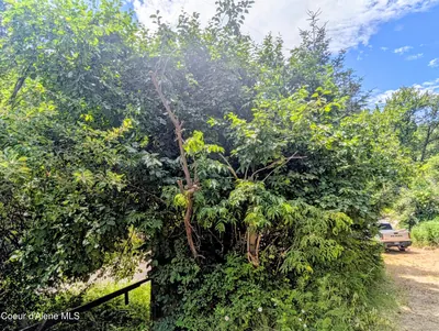 Property 26-7089 - Photo 19