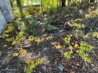 Property 25-10846 - Photo 13