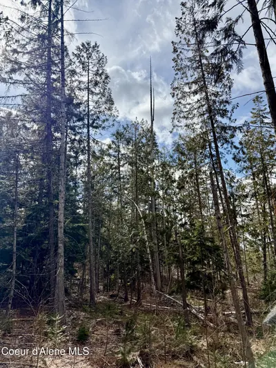 Property 26-2440 - Photo 19