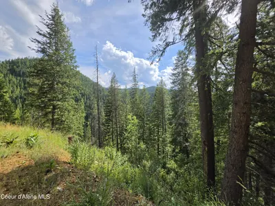 Property 26-2771 - Photo 50