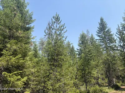 Property 26-8234 - Photo 6