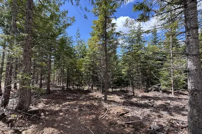 Property 26-3764 - Photo 11