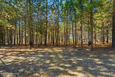 Property 26-9300 - Photo 44