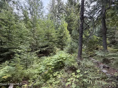 Property 26-8802 - Photo 27