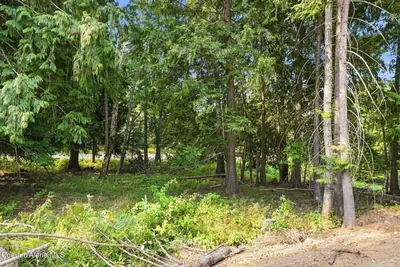 Property 26-9077 - Photo 5