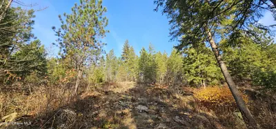 Property 26-7600 - Photo 12