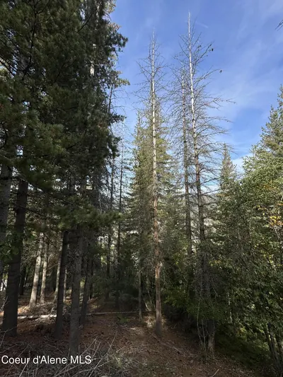 Property 26-10583 - Photo 11