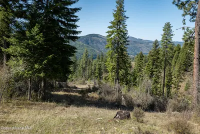 Property 26-9099 - Photo 64