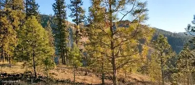 Property 26-8169 - Photo 45
