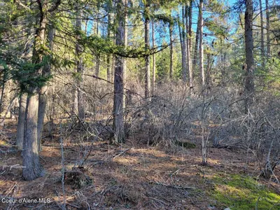 Property 26-712 - Photo 2