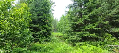 Property 26-5846 - Photo 5