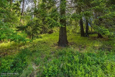 Property 26-6373 - Photo 52