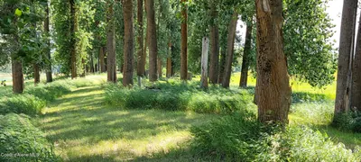 Property 26-1448 - Photo 15