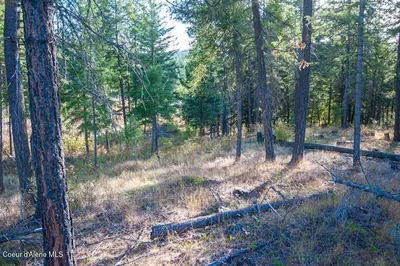 Property 26-9756 - Photo 25