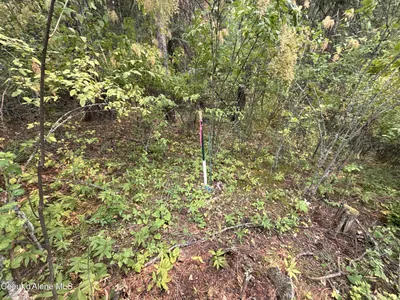 Property 26-7987 - Photo 27