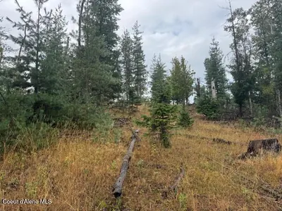 Property 25-9895 - Photo 3