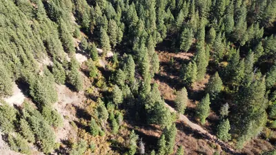 Property 25-10079 - Photo 9