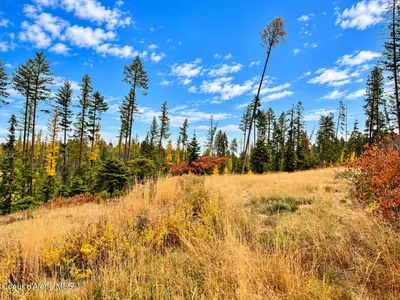 Property 26-10525 - Photo 54