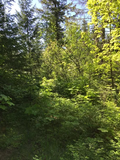 Property 26-1578 - Photo 5