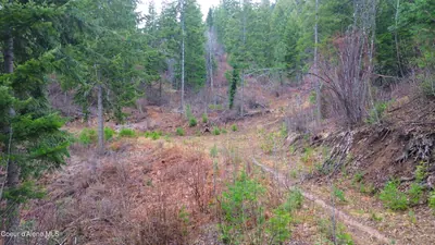 Property 26-3204 - Photo 4