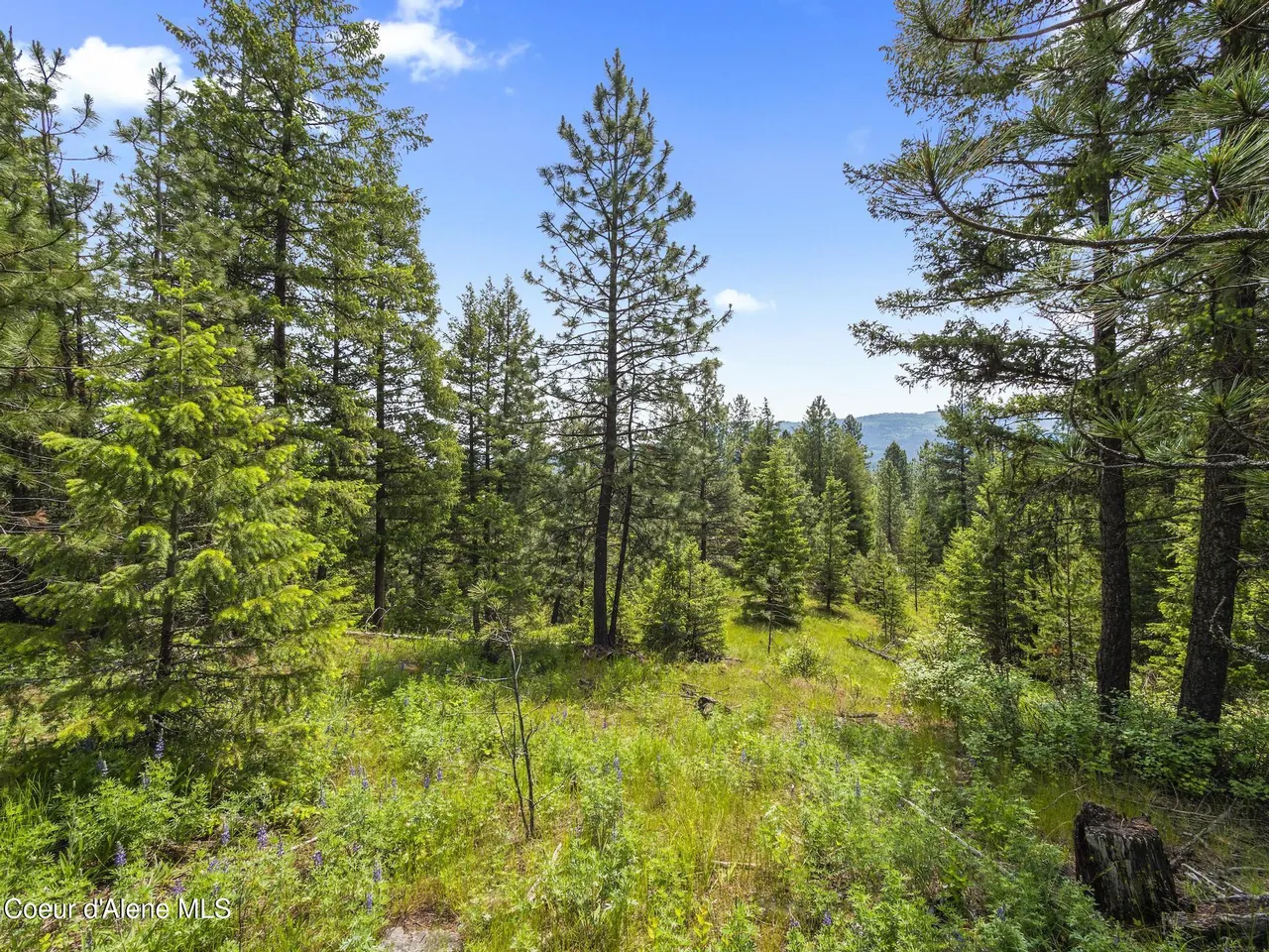 Property 26-3472 - Photo 1