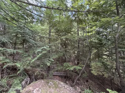 Property 26-8802 - Photo 28