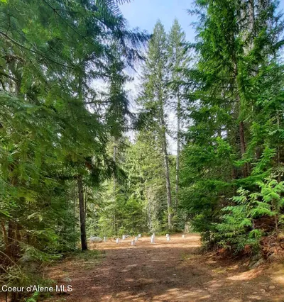 Property 26-3789 - Photo 9