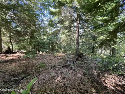 Property 26-4197 - Photo 2