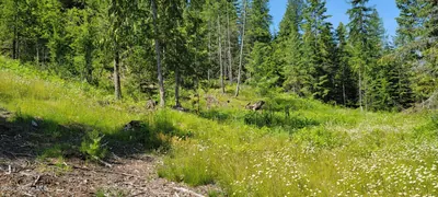 Property 26-4583 - Photo 9